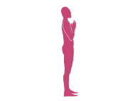 vinyasa-1